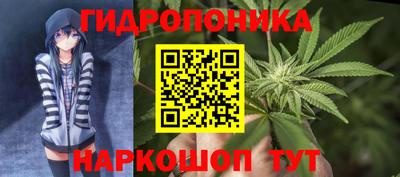 молекула духа Берёзовский