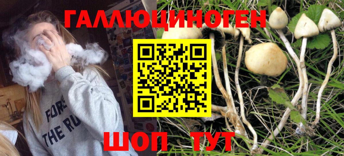Псилоцибиновые грибы GOLDEN TEACHER  Вход с VPN  Клин  Галлюциногенные грибы мухоморы 