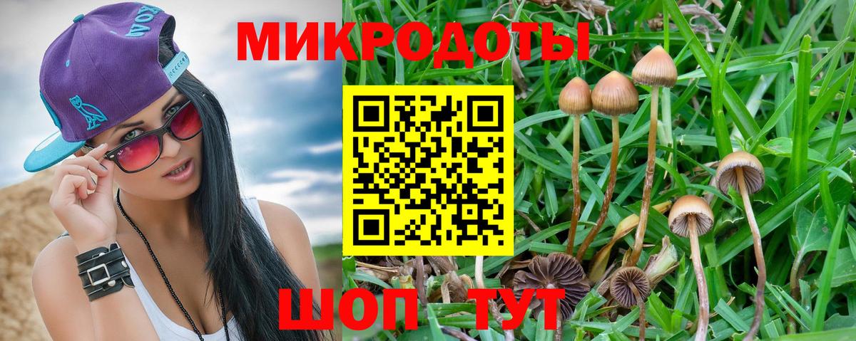 Псилоцибиновые грибы Cubensis Клин
