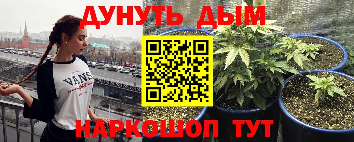 Каннабис сатива  Канабис семена  Вход с VPN  Клин 